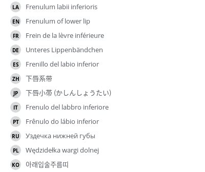 Translations