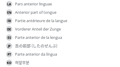 Translations
