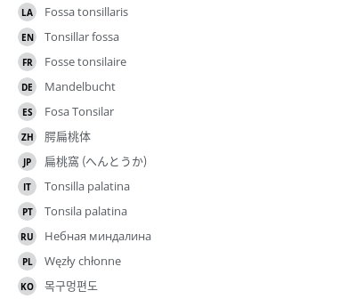 Translations