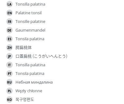 Translations
