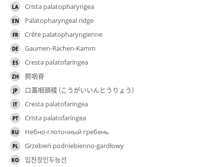 Translations