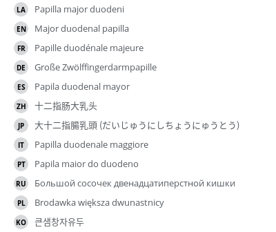 Translations