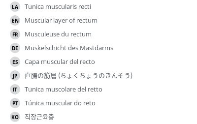 Translations