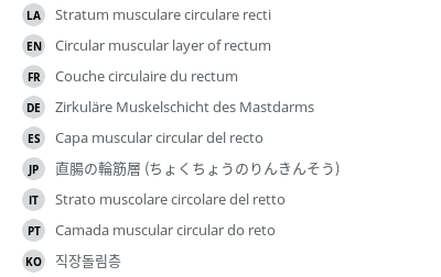 Translations