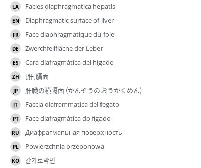 Translations
