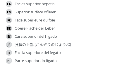 Translations
