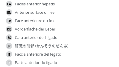 Translations