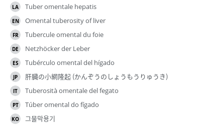 Translations