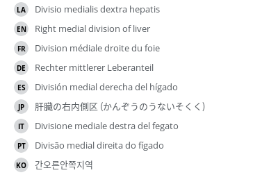 Translations