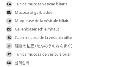 Translations