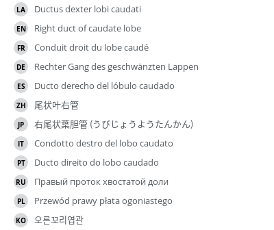Translations
