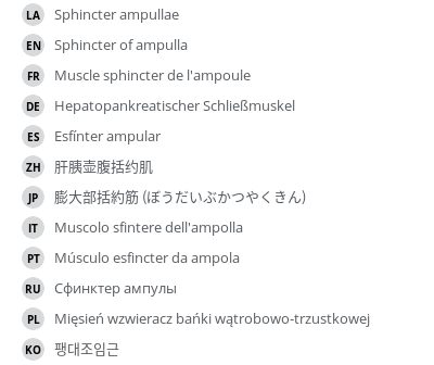 Translations