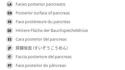 Translations