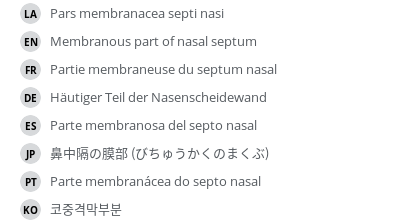 Translations
