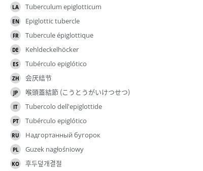 Translations