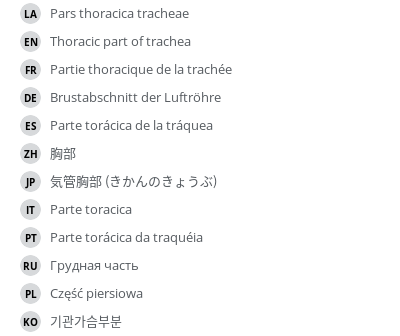 Translations