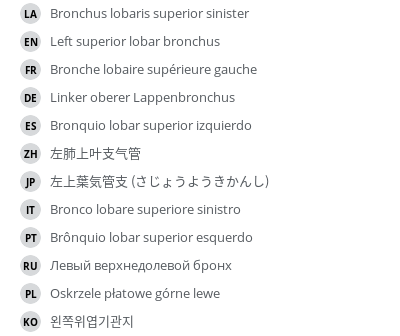 Translations