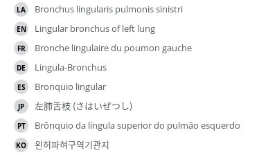 Translations