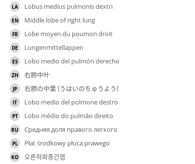 Translations