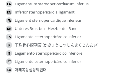 Translations