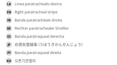 Translations