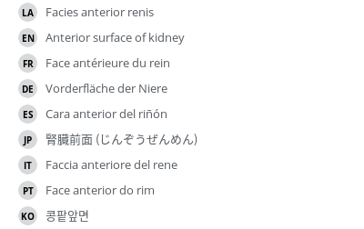 Translations