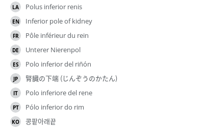Translations