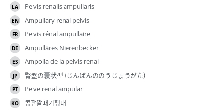 Translations