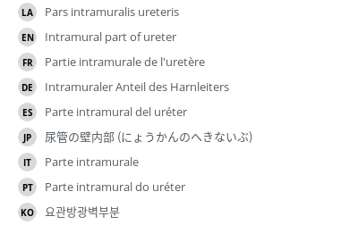 Translations