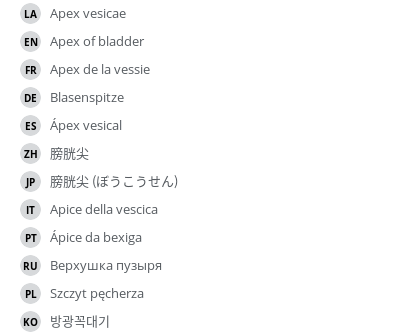 Translations