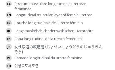 Translations