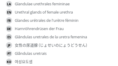Translations