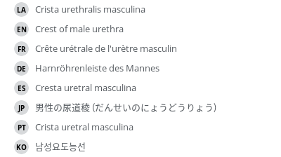 Translations