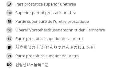 Translations