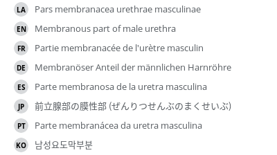 Translations