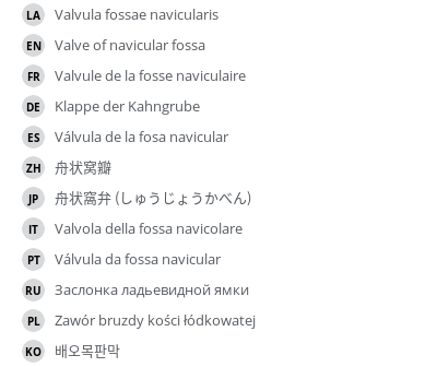 Translations