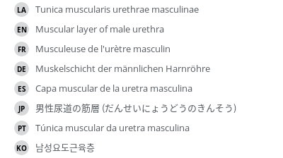 Translations