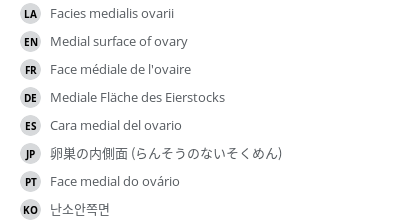 Translations
