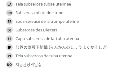 Translations