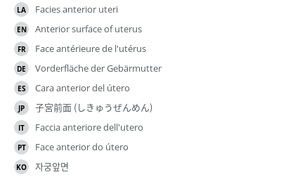 Translations