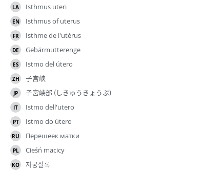 Translations