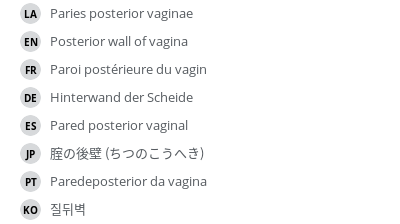 Translations