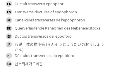 Translations