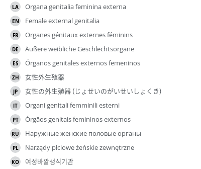 Translations