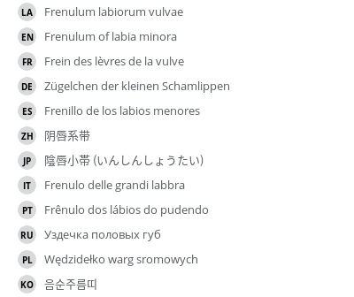Translations