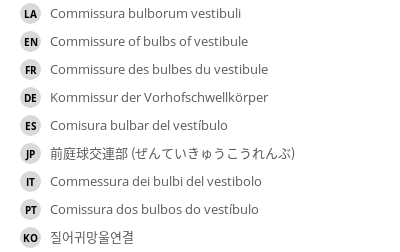 Translations