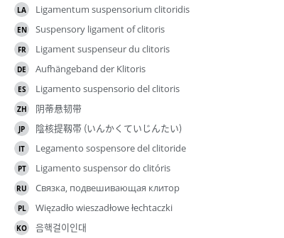 Translations