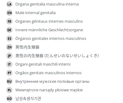 Translations