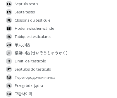 Translations