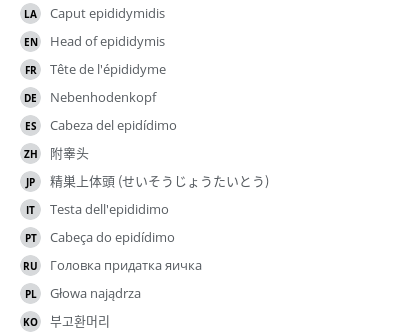 Translations